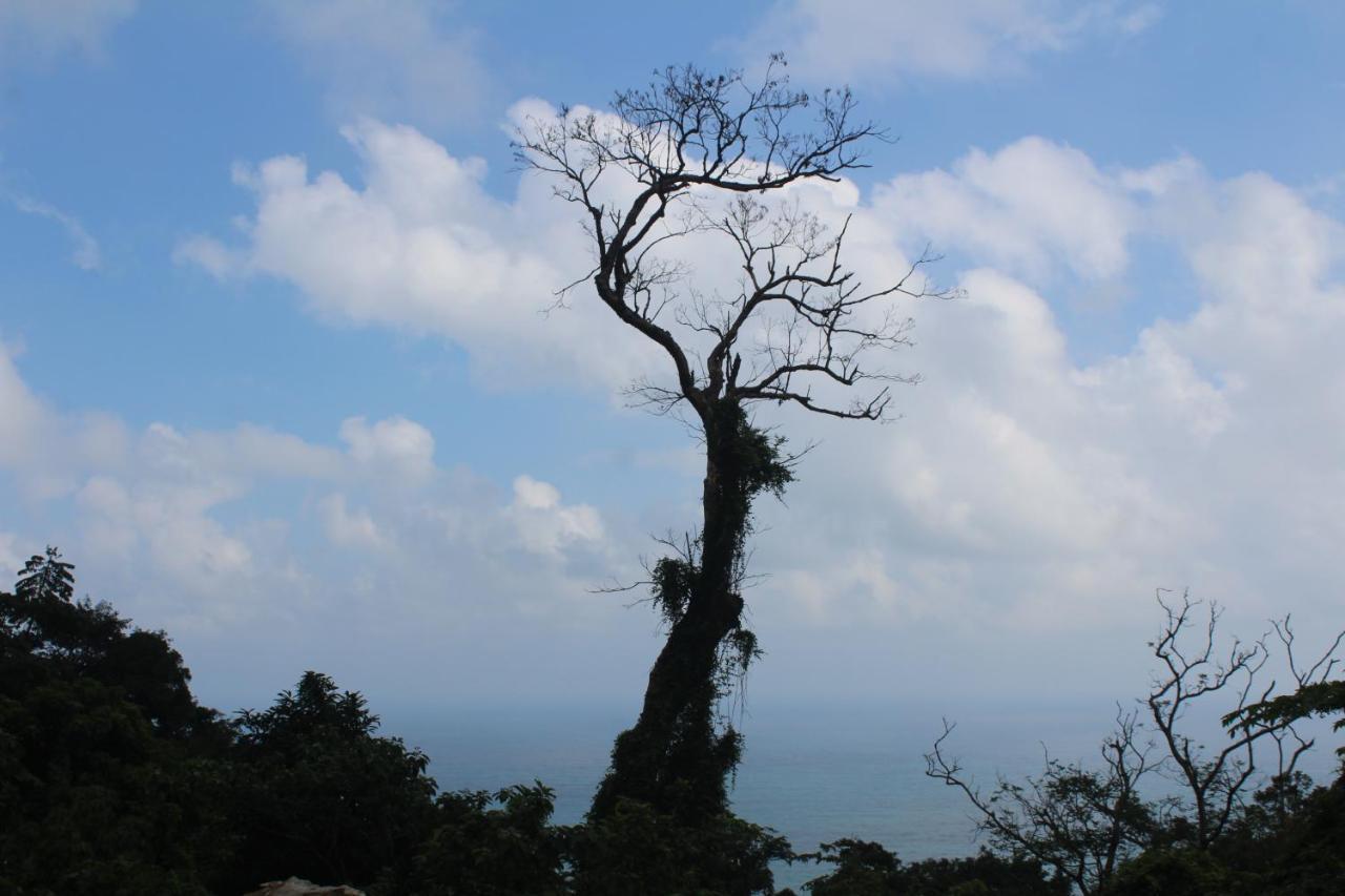 Cham Island Smiles Homestay Tân Hiệ Exterior foto